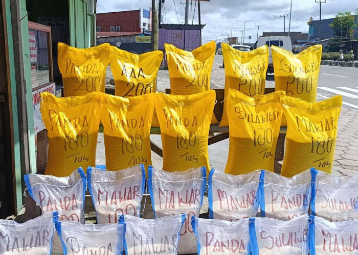 Beras SPHP Segera Kembali Disalurkan, Harapan Masyarakat untuk Stabilkan Harga Pangan