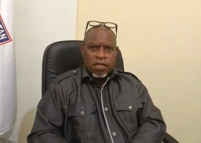 Soroti Pembangunan di Papua Selatan, MRP Ingatkan OPD: Perintah Gubernur Jangan Masuk Kiri Keluar Kanan