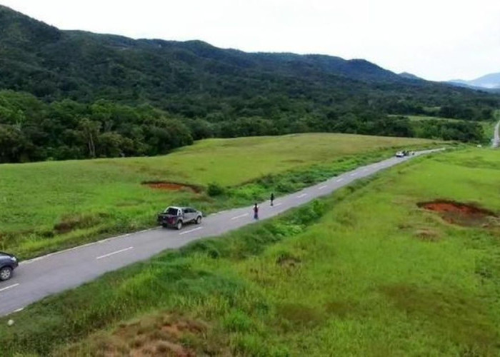 Hutama Karya Garap Jalan KSPP Wanam–Muting Segmen II untuk Perkuat Ketahanan Pangan Papua Selatan