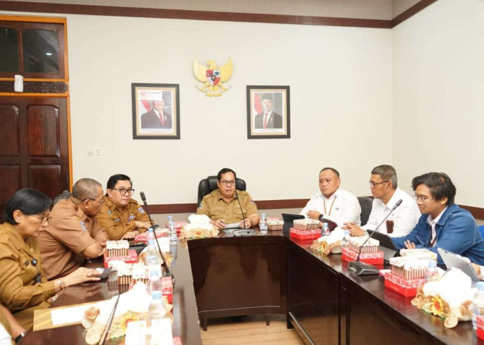 Sinergi BPKP dan Pemprov Papua Selatan: Tingkatkan Pengawasan untuk Pembangunan Berkualitas