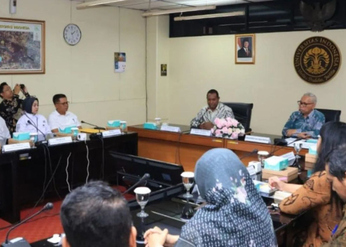 Perkuat SDM di Daerah Otonomi Baru, Pemprov Papua Selatan Gandeng Universitas Indonesia