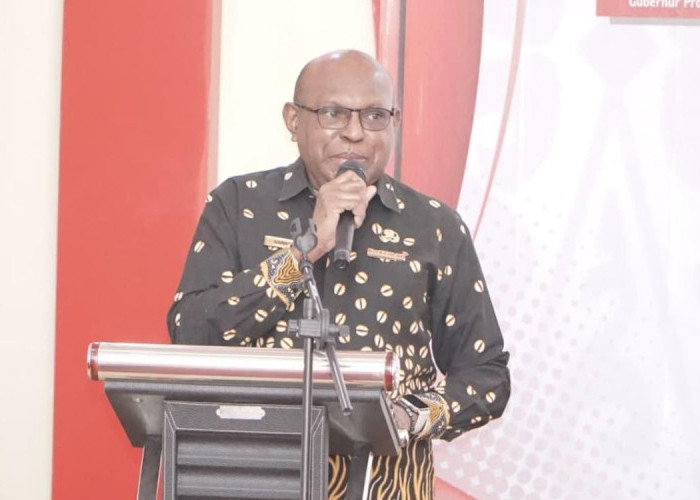 Perkuat Ekonomi Lokal, Pemprov Papua Selatan Bentuk TPAKD untuk Perluas Akses Keuangan Masyarakat