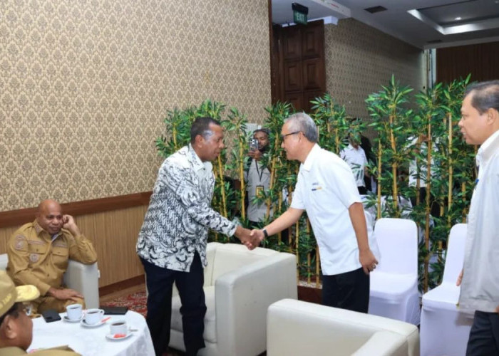 Anggaran Papua Selatan Terjun Bebas, Gubernur Apolo Safanpo Tagih Janji Tambahan Dana Otsus di Jakarta