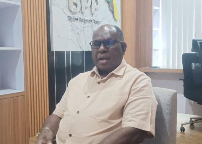 Tolak Masuk Diam-Diam, Tokoh Okaba Minta Dinas Peternakan Papua Selatan Duduk Bersama di Tikar Adat