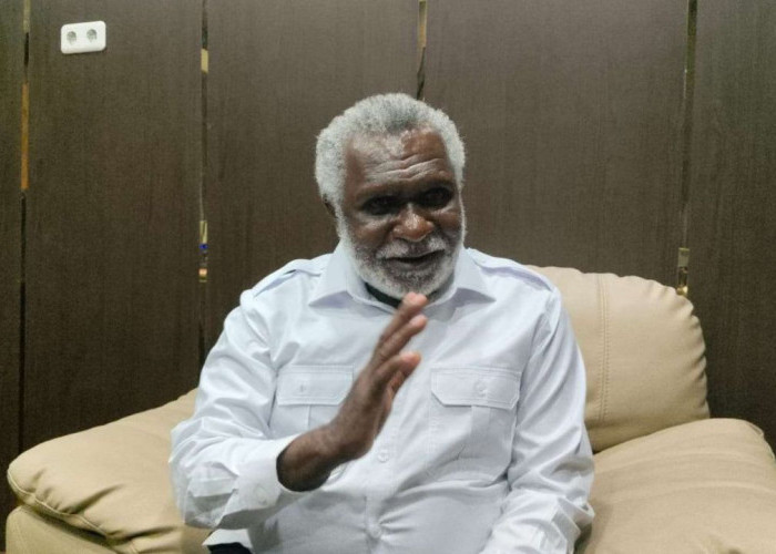 Sentil Menhut Raja Juli, Wagub Papua Selatan Keluhkan Pembabatan Hutan Unkontrol
