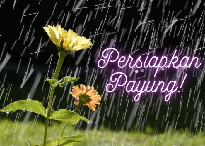 Waspada Hujan Merata di Indonesia: Simak Prakiraan Cuaca BMKG Jumat 27 Maret 2026