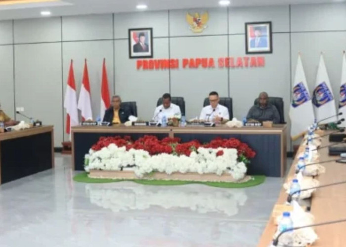 Perkuat Kedaulatan Perbatasan, Pemprov Papua Selatan dan DPN RI Bahas Langkah Strategis Pertahanan
