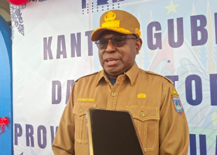 Mendesain Masa Depan Ekonomi: Pemprov Papua Selatan Perkuat Akses Keuangan Melalui TPAKD