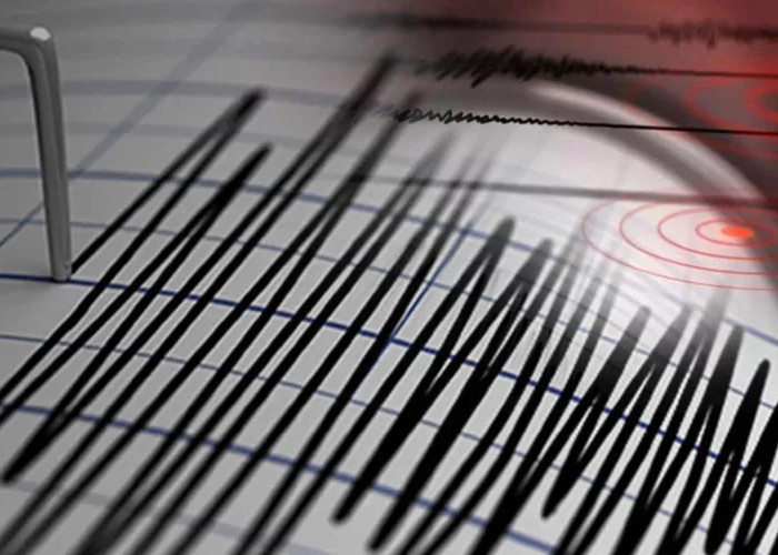 Guncangan Gempa Magnitudo 5,4 Terjadi di Boven Digoel Papua Selatan