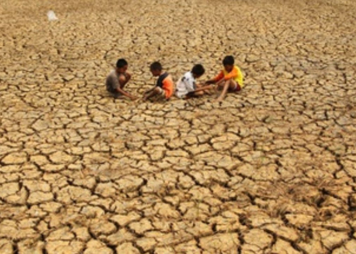 Dampak El Nino Papua Selatan Berkategori Kuat, BMKG Ingatkan Potensi Kekeringan Parah Hingga Oktober
