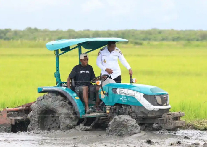 Papua Selatan di Puncak Risiko: Menilik Peta Kerawanan Pangan dan Ancaman Bencana 2026
