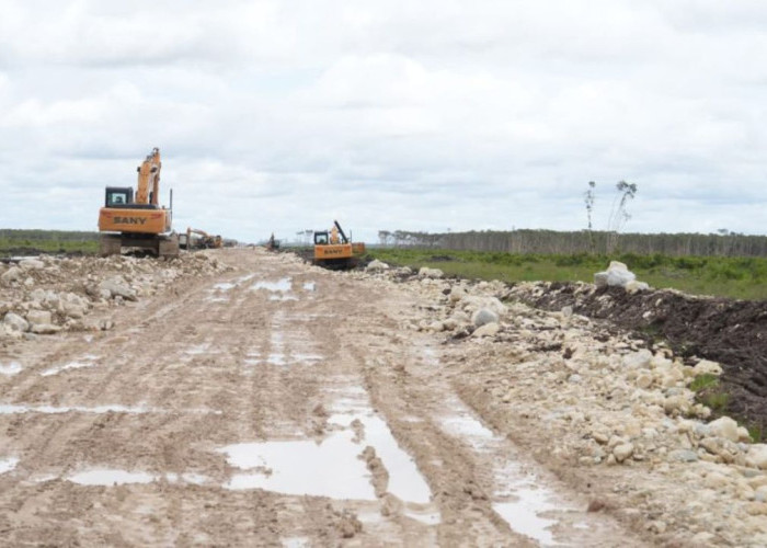 Target Panen 10.000 Hektare: Langkah Cepat Menteri PU Dody Hanggodo di KSPP Wanam Merauke