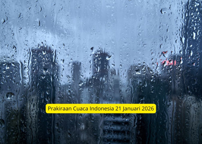 Waspada Dampak Siklon Tropis Nokaen: BMKG Ingatkan Potensi Angin Kencang di 14 Provinsi