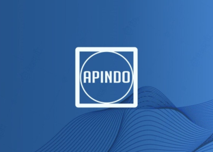 Baru Berdiri, APINDO Papua Selatan Jadi Pimpinan Sidang di Forum Nasional