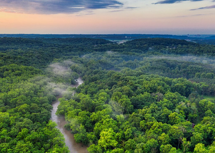 Menguak Proyek Strategis Nasional di Papua Selatan: Antara Ketahanan Pangan dan Ancaman bagi Masyarakat Adat