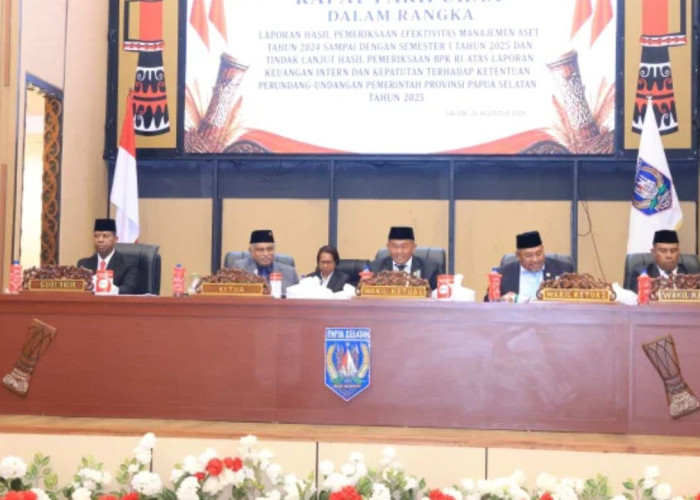 Pansus DPR Papua Selatan Kawal Rekomendasi BPK RI Demi Akuntabilitas Aset