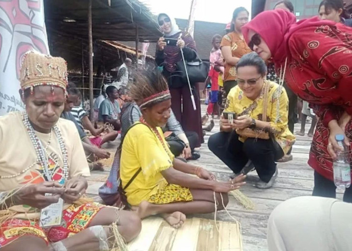 BPS Catat Wisatawan Papua Selatan Lebih Utamakan Kenyamanan Akomodasi