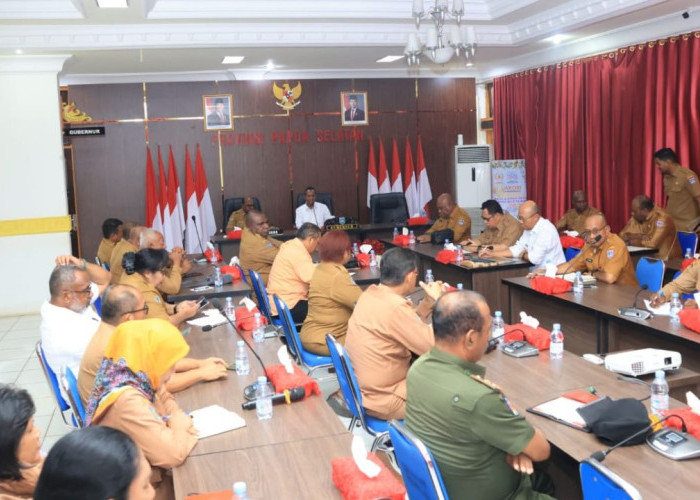 Babak Baru Papua Selatan: Gubernur Apolo Safanpo Pimpin Persiapan Pindah Kantor ke KTM Salor