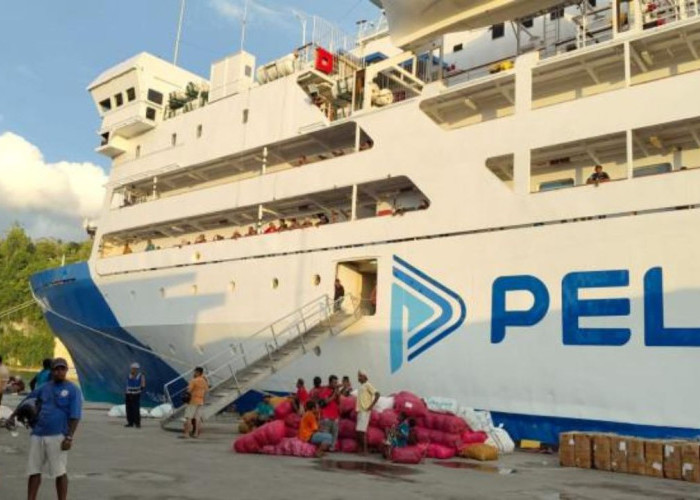 Jadwal Terbaru KM Tatamailau Desember 2025–Januari 2026, Rute Sulawesi hingga Papua Selatan