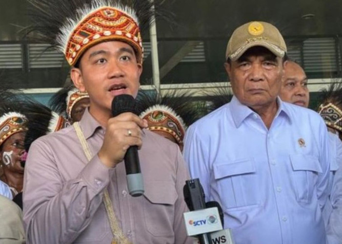 Kunjungi Papua Selatan, Wapres Gibran Dorong Peningkatan Status RSUD Perpetua H. Safanpo Asmat Jadi Tipe C