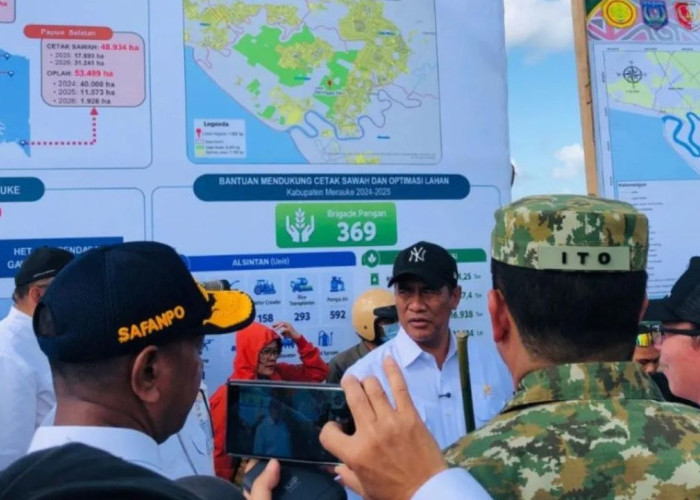 Jadi Pilar Ketahanan Pangan, Lahan Cetak Sawa Merauke Capai 48 Ribu Hektare untuk Swasembada Nasional