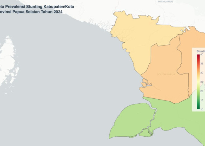 Mata Rantai Stunting Papua Selatan: Risiko Meningkat Tajam Setelah Anak Berusia 12 Bulan