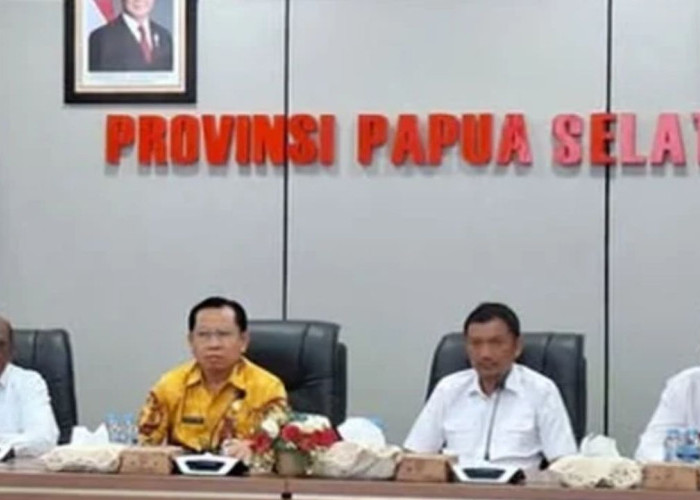 APBD Papua Selatan Turun Signifikan, Sekda Ferdinandus Soroti Efisiensi Fiskal dan Dana Otsus