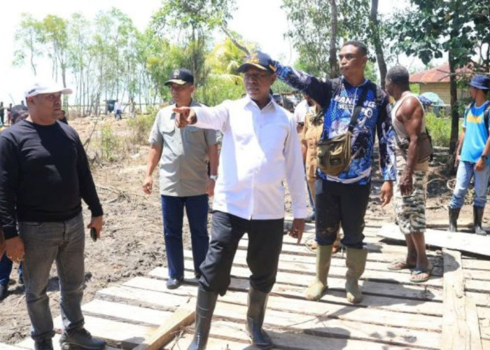 PEMBANGUNAN PAPUA SELATAN! Antara Capaian Pemekaran dan Tantangan Tumpang Tindih Regulasi