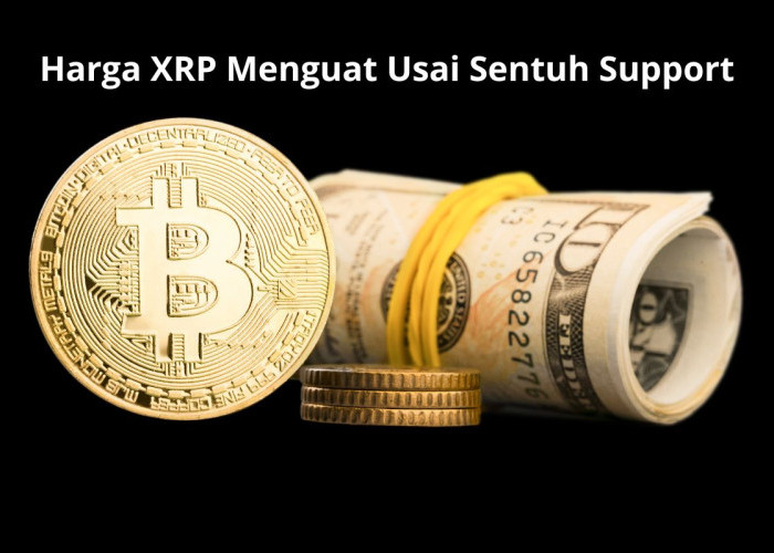 Harga XRP Terkoreksi 4,07% Sepekan, Bounce di Support $3,05 Jadi Sinyal Rebound