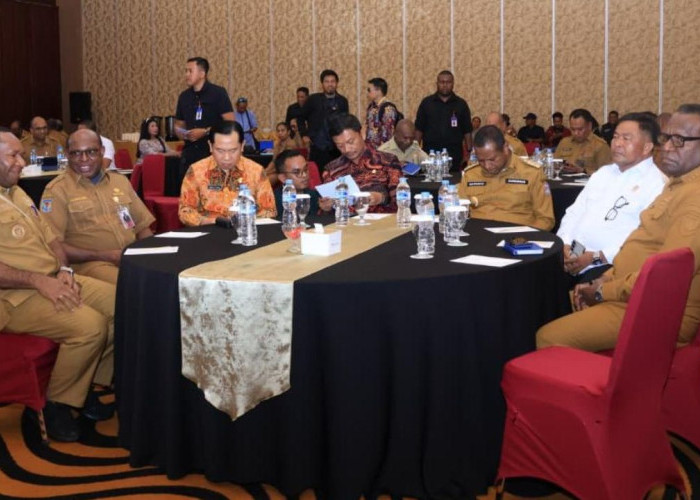 Pemerintah Provinsi Papua Selatan Siapkan Data Evaluasi Tiga Tahun Pembangunan Bersama DPR RI dan Kemendagri
