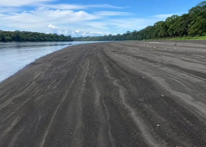 Keunikan Pasir Hitam Sungai Digoel: Pesona Alam Boven Digoel Papua Selatan Saat Musim Kering
