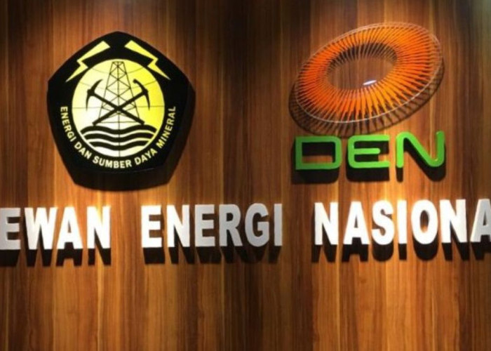 Akselerasi Transisi Energi: Pemprov dan DEN Matangkan Forum Energi Daerah Papua Selatan