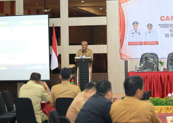 Telur Ayam Menjadi Penyumbang Inflasi Tertinggi di Papua Selatan