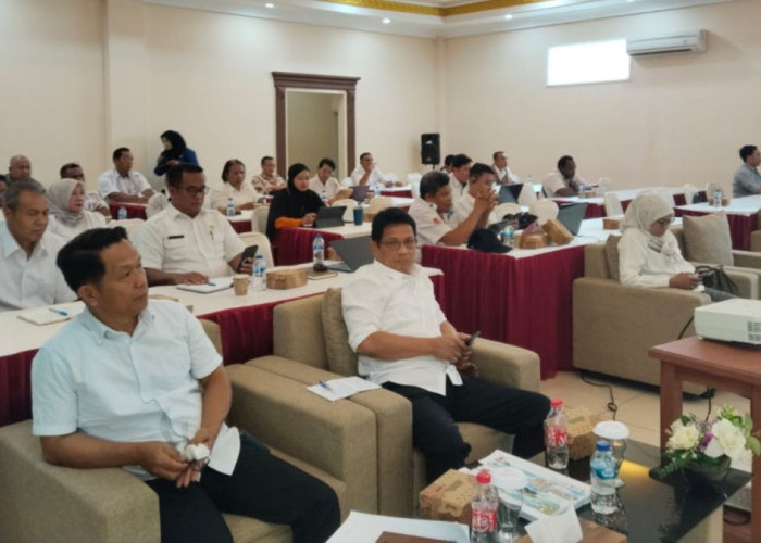 Revisi RTRW Kabupaten Merauke: Menyelaraskan Pembangunan Daerah dan Provinsi Papua Selatan