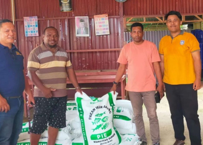 Pemerintah Papua Selatan Salurkan Pakan Ikan untuk Peternak OAP