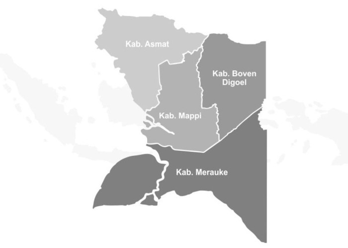 3 Tahun Provinsi Papua Selatan: Dari Perjuangan Dua Dekade hingga Menjadi Daerah Mandiri di Tanah Anim Ha