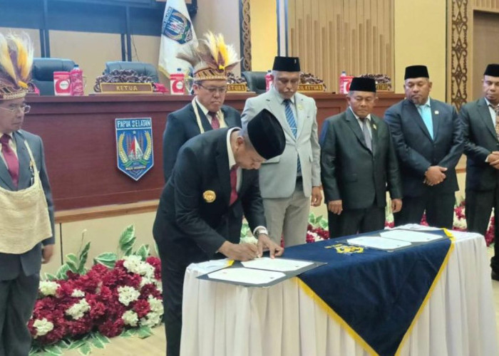 Ada Temuan Rp5,29 Miliar, BPK Beri Waktu Pemprov Papua Selatan 60 Hari untuk Berbenah