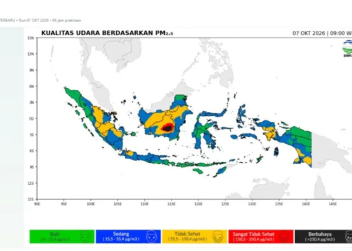 Ancaman Asap dan Kabut Lintas Batas Selimuti Papua Selatan, BMKG Imbau Warga Boven Digoel Waspada