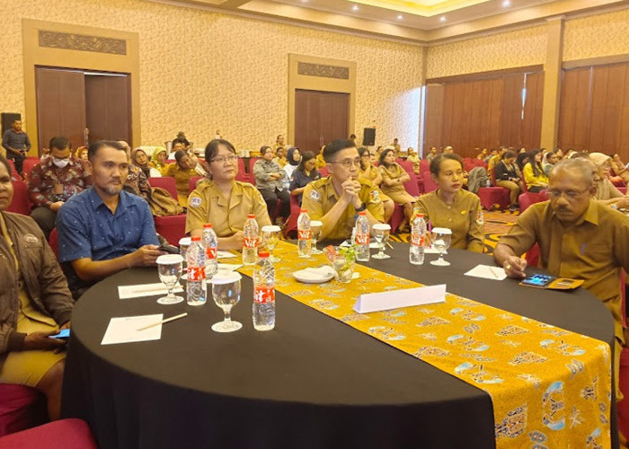 Dinas Kesehatan Papua Selatan Fokus Tekan Angka Kematian Ibu dan Anak