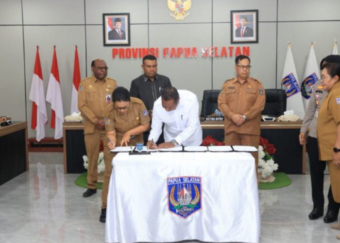 Pemprov Papua Selatan Salurkan Ambulans Hingga Alkes Canggih Demi Pemerataan Akses Kesehatan
