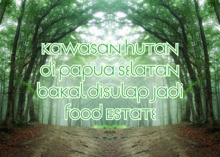 Pemerintah Lepas 451 Ribu Hektar Hutan di Merauke untuk Program Swasembada Pangan