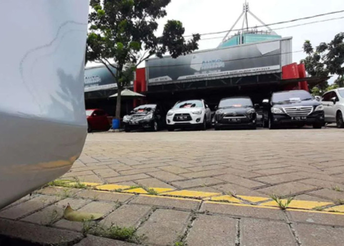 OJK: Papua Selatan Pimpin Pertumbuhan Piutang Pembiayaan Meski Industri Melambat