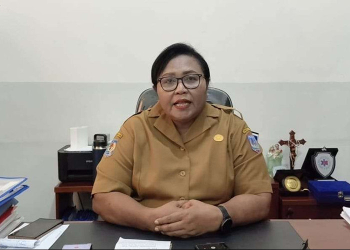 Lewat Skema Rujukan, Dinas Kesehatan Papua Selatan Pastikan Layanan Medis Tetap Inklusif