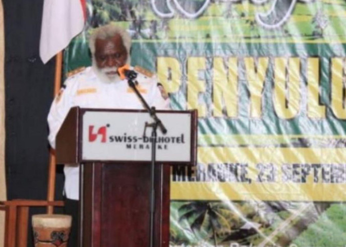 Pemprov Papua Selatan Usul 500 Rumah Penyuluh ke Kementan Demi Ketahanan Pangan