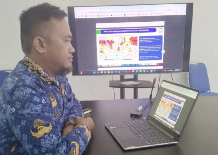 Ancaman Kebakaran Hutan di Papua Selatan, BMKG Imbau Warga Hemat Air Hingga Desember