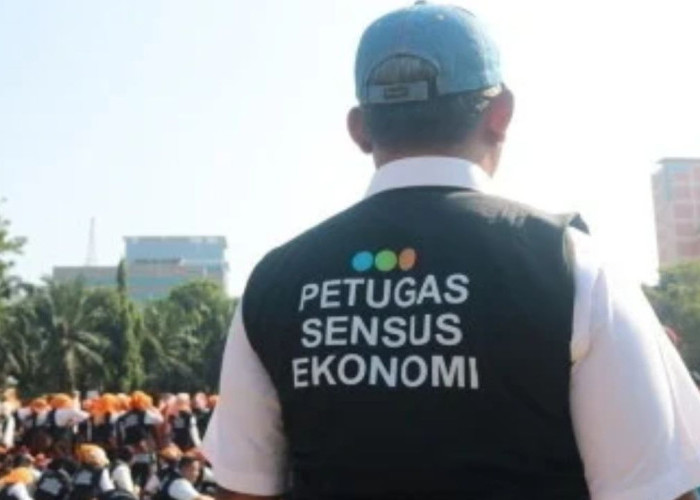 Tantangan Sensus Ekonomi 2026 di Merauke: Pentingnya Kesadaran Data Demi Pembangunan Daerah