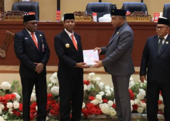 Gubernur Apolo Safanpo Tegaskan OPD Papua Selatan Segera Selesaikan Rekomendasi BPK