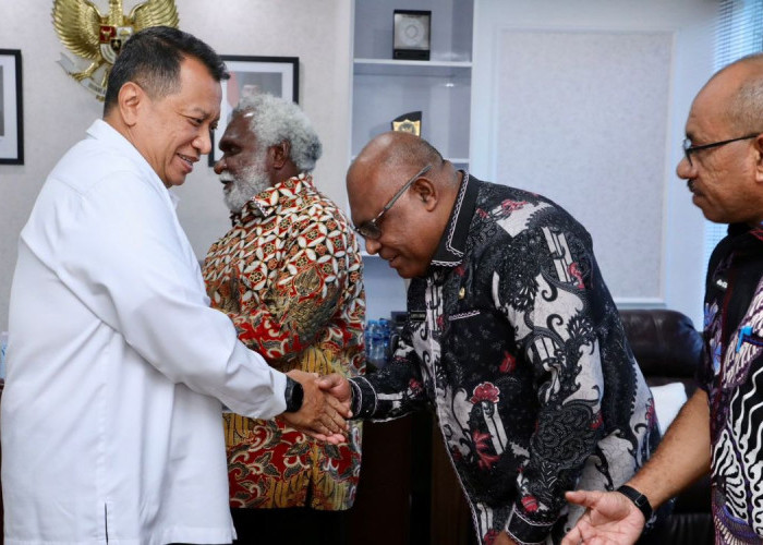 Perkuat Fondasi Pemerintahan, Pemprov Papua Selatan Konsultasi Strategis ke Kementerian PANRB