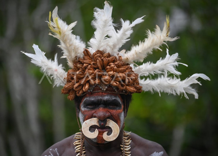 Profil Provinsi Papua Selatan: Fakta Menarik Tentang Daerah Otonomi Baru di Ujung Timur Indonesia