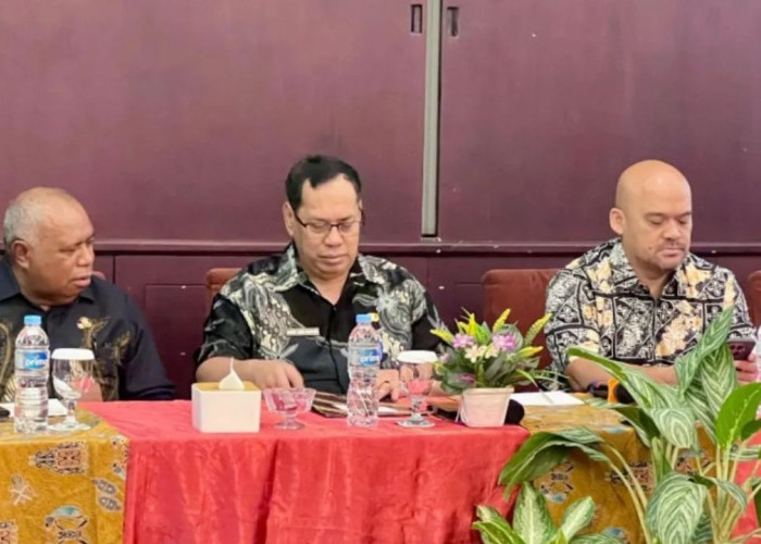 Pentingnya Data OAP Terpilah dalam Perencanaan Pembangunan Papua Selatan